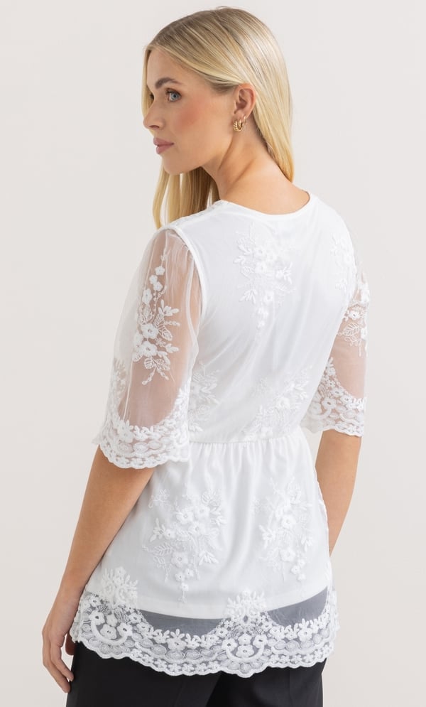Embroidered V Neck Mesh Top