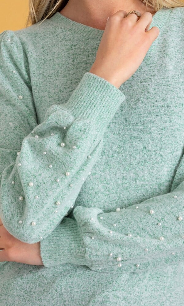 Embellished Blouson Sleeve Jumper