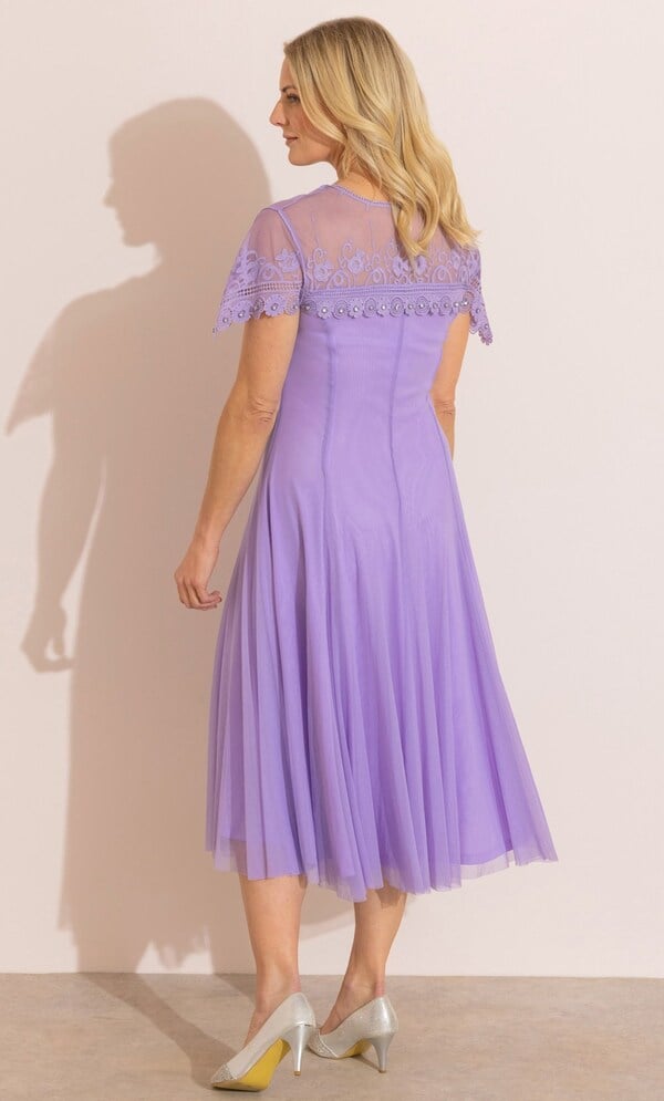 Anna Rose Mesh and Embellished Lace Midi Dress