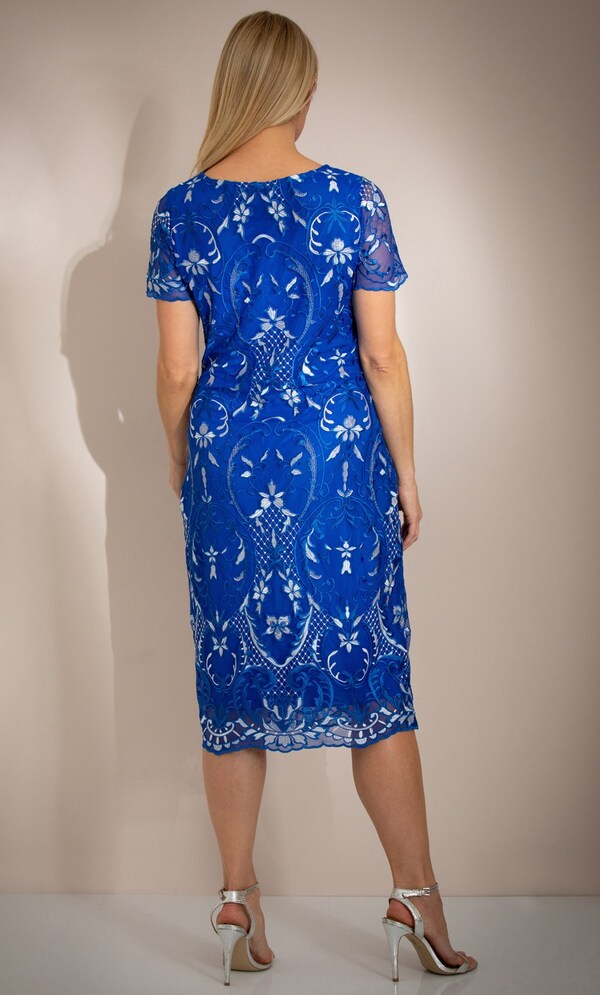 Embroidered Mesh Midi Dress