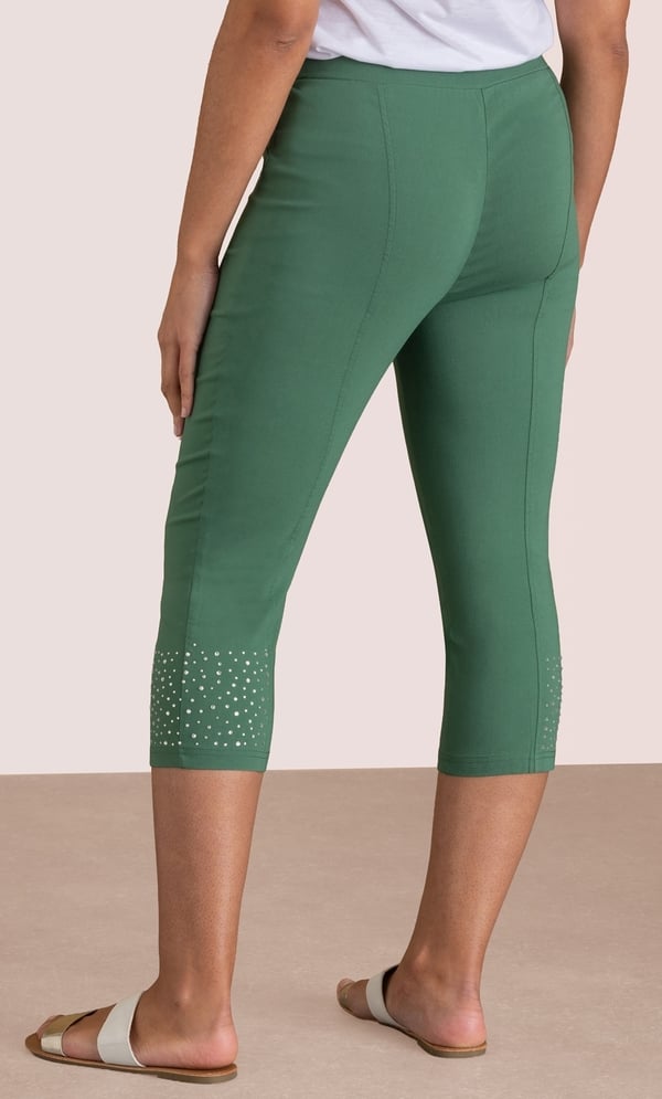 Embellished Pull On Capri Pants