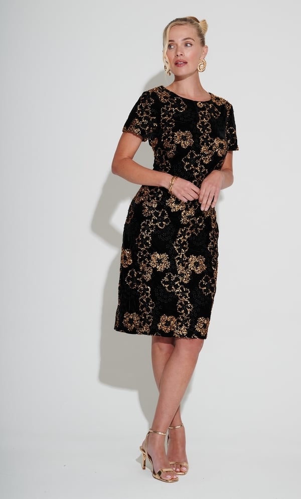 Embroidered Short Sleeve Velvet Dress