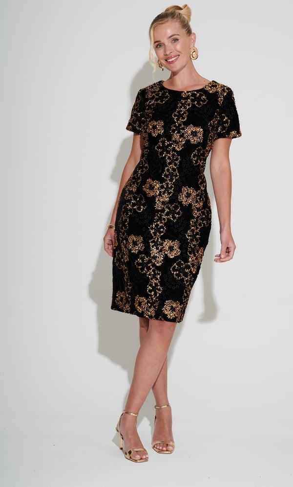 Embroidered Short Sleeve Velvet Dress