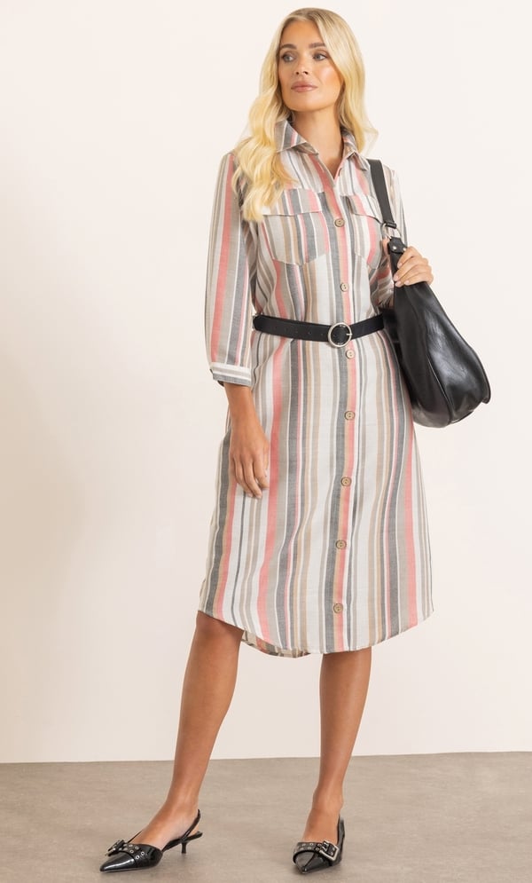 Striped Shirt Dress