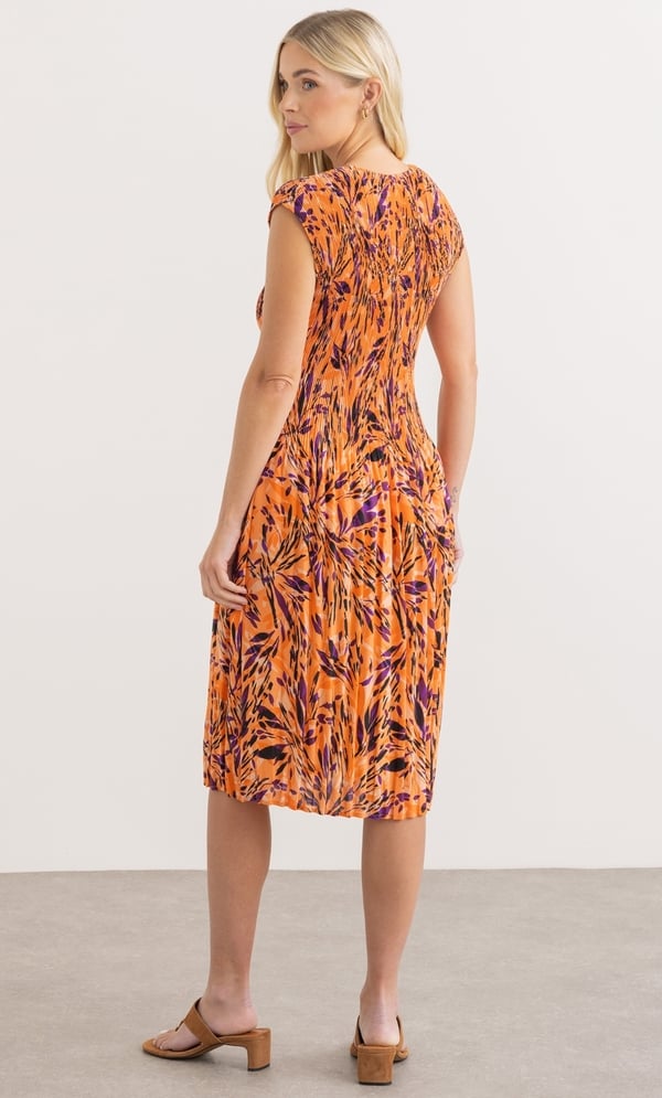 Botanical Print Pleated Dress