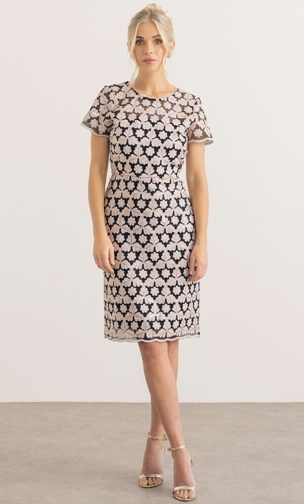 Embellished Fitted Mesh Dress