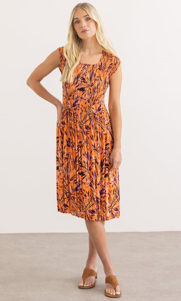 Botanical Print Pleated Dress