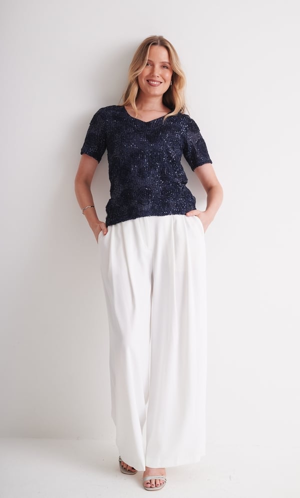 Applique And Sequin Short Sleeve Mesh Top
