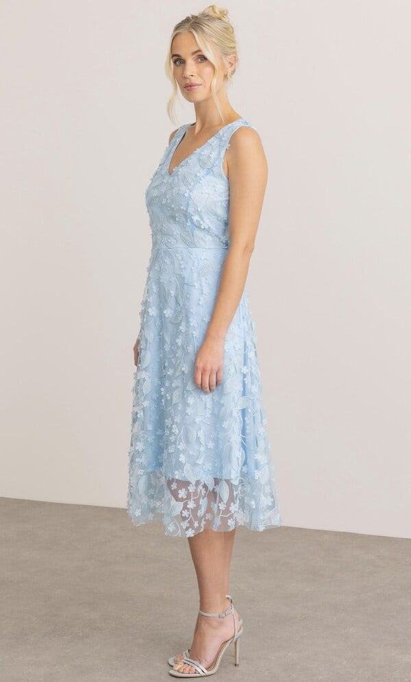 Sleeveless Floral Applique Shimmer Mesh Dress