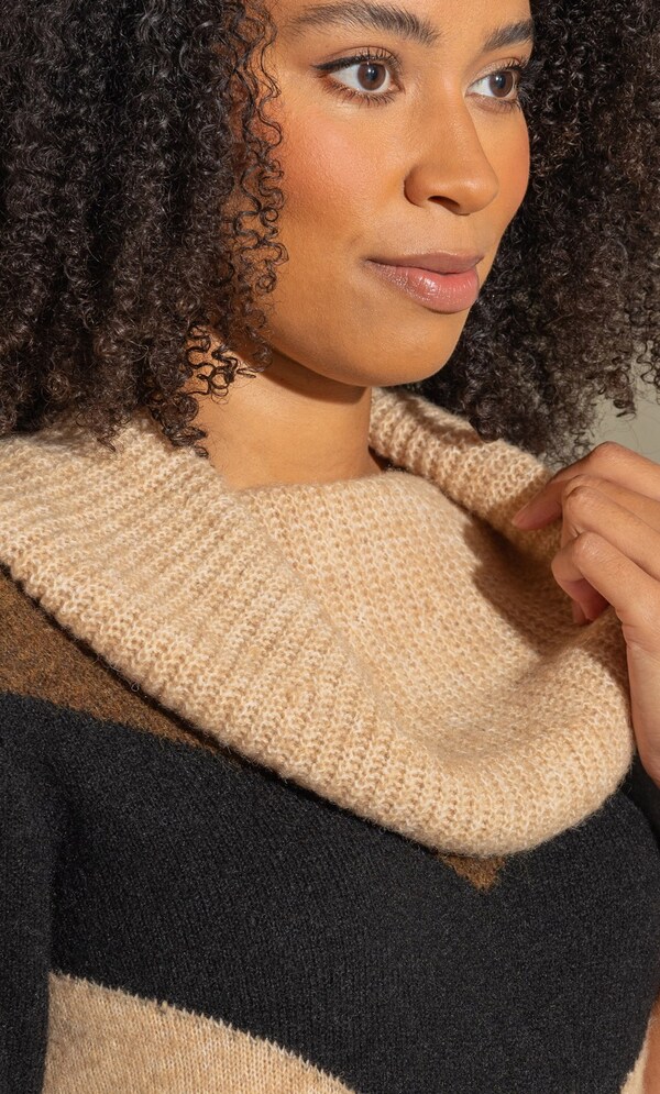 Cowl Neck Chevron Knit Tunic Top