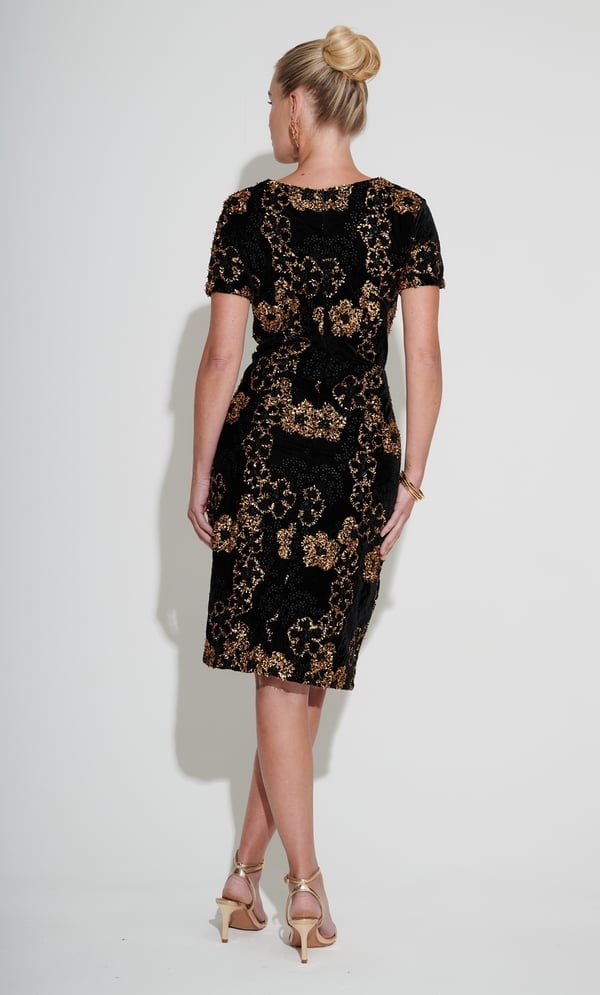 Embroidered Short Sleeve Velvet Dress