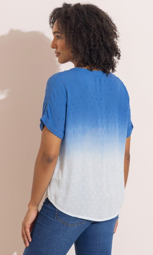 Embroidered Short Sleeve Ombre Top
