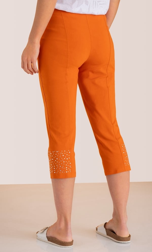Embellished Pull On Capri Pants