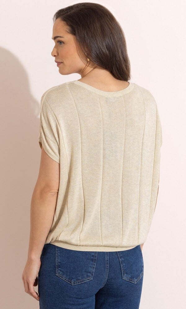 Shimmer Short Sleeve Knit Top