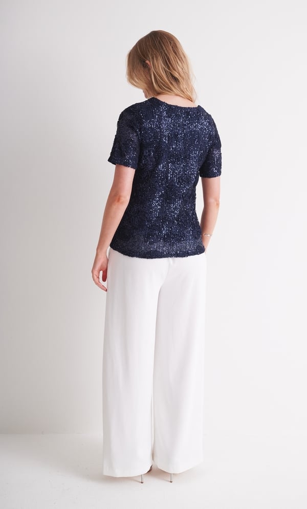 Applique And Sequin Short Sleeve Mesh Top