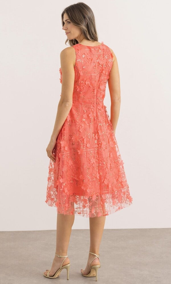 Sleeveless Applique Shimmer Dress