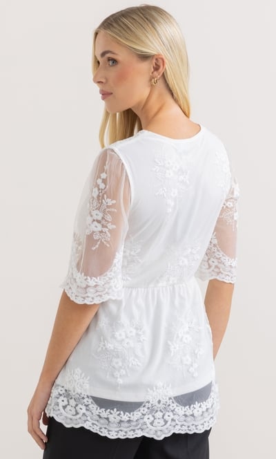 Embroidered V Neck Mesh Top