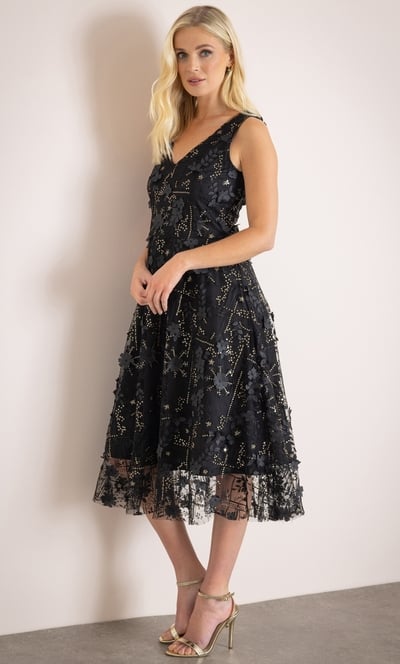 Sleeveless Applique Shimmer Dress