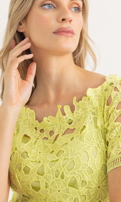 Bardot Lace Dress