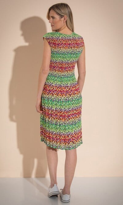 Animal Print Pleated Dress