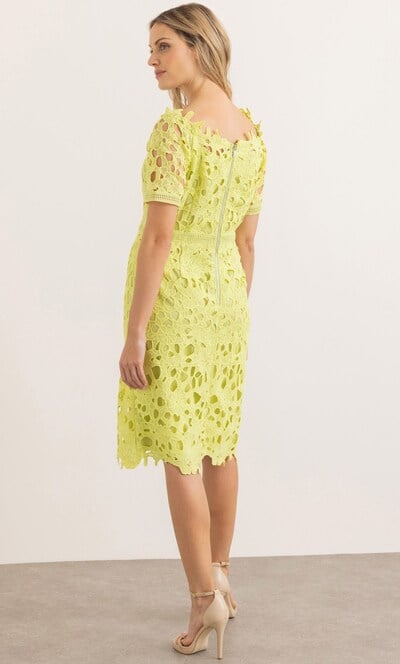 Bardot Lace Dress