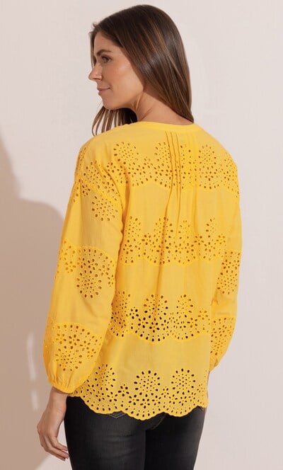 Embroidered Eyelet Cotton Top