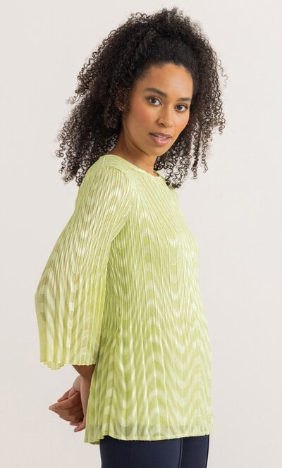 Pleated Flare Bell Sleeve Top