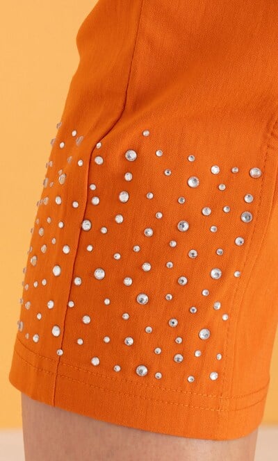 Embellished Pull On Capri Pants