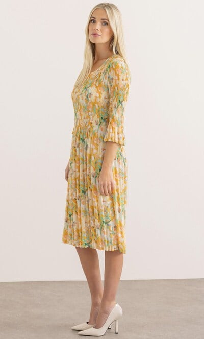 Three Quarter Sleeve Botanical Print Pleated Dress