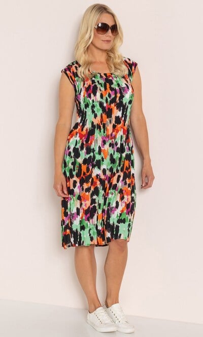 Pleated Print Dress