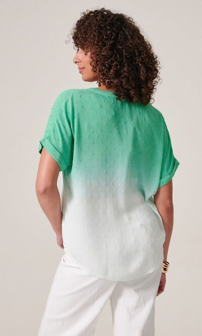 Embroidered Short Sleeve Ombre Top