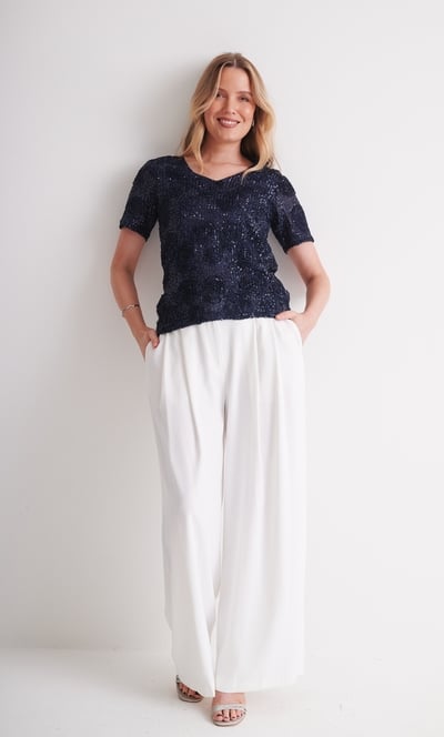 Applique And Sequin Short Sleeve Mesh Top