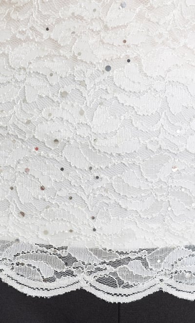 Anna Rose Shimmer Lace Top