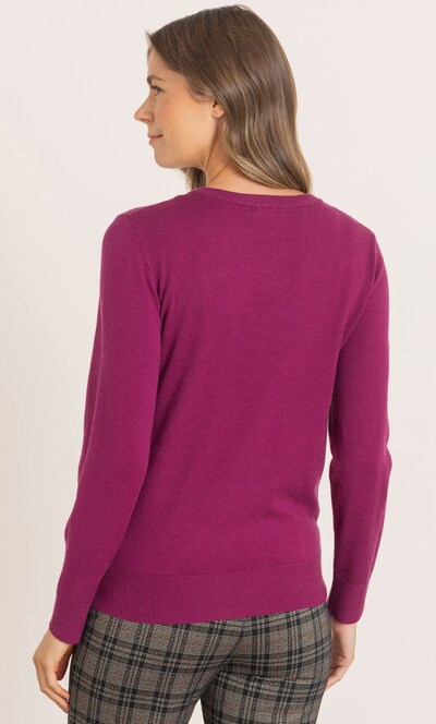 V Neck Stud Trim Jumper