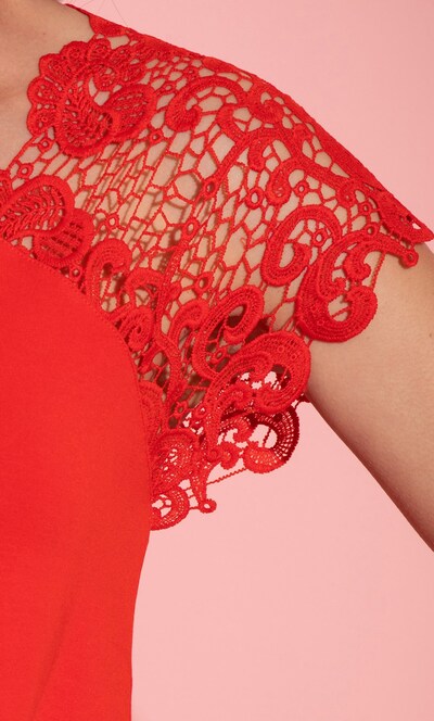 Lace Trim Jersey Top