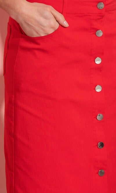 Button Front Stretch Skirt