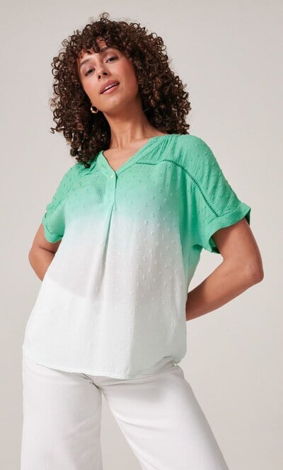 Embroidered Short Sleeve Ombre Top