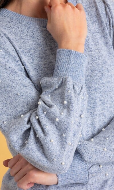 Embellished Blouson Sleeve Jumper