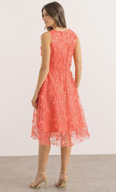 Sleeveless Applique Shimmer Dress