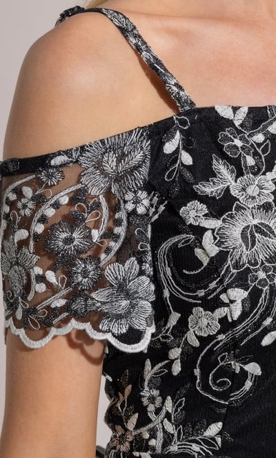 Embroidered Mesh Bardot Dress
