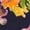798WAS1