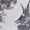 298S6S2